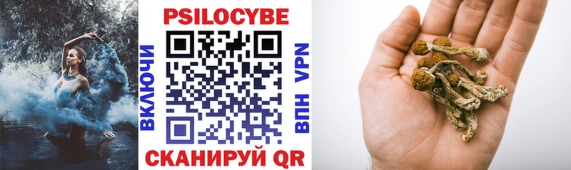 mega tor  Ядрин  Псилоцибиновые грибы Psilocybe  закладка 